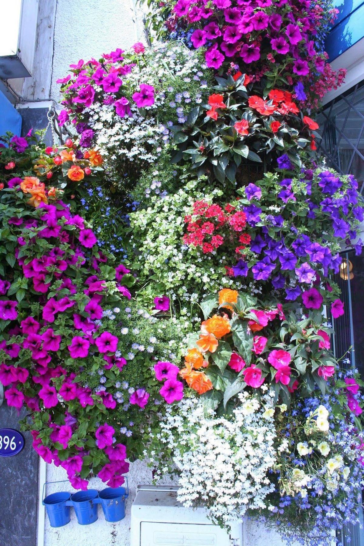 Devon View Guesthouse Суонзи Екстериор снимка